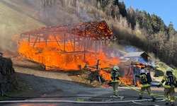 In dem Feuer kamen mehrere Tiere um. 