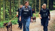 Suchmannschaften ziehen durch den Schwarzwald in „Die große Angst“.