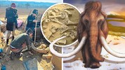 Wie konnten unsere Eiszeit-Vorfahren die felligen Riesen besiegen? Archäologen sind nach dem ...