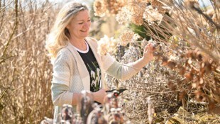 Gartenexpertin Patrizia Haslinger entfernt die abgestorbenen Blüten des Vorjahres bei ...