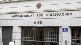 Viermal wurde die 31-Jährige bereits im Wiener Landl verurteilt. (Bild: Urbantschitsch Mario)
