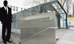 Insgesamt zehn einschlägige Vorstrafen hat ein 57-Jähriger am Konto. Die Staatsanwaltschaft Wien ...