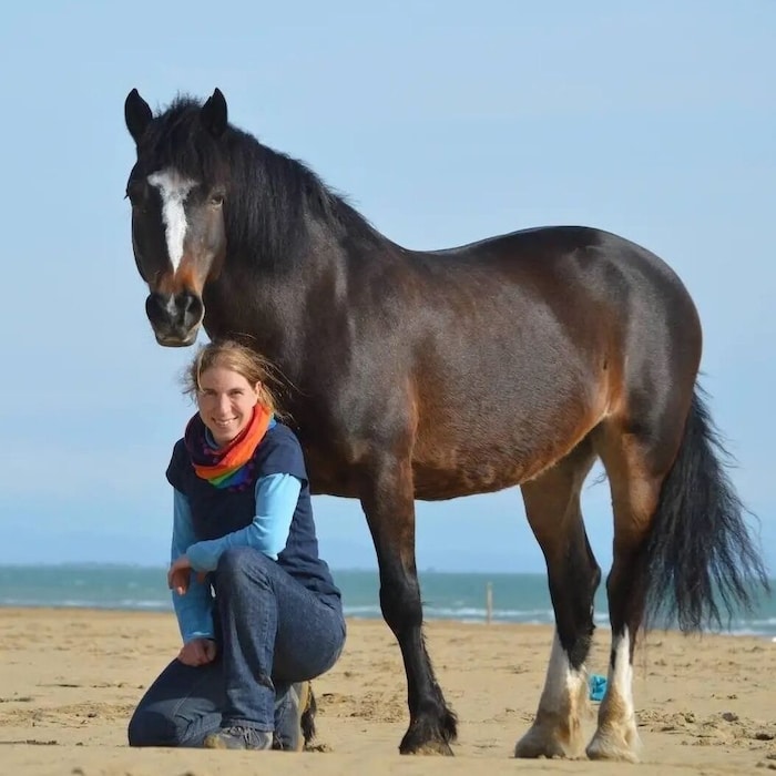 „Felicitas“, das ehemalige „Wildpferd“ aus Uruguay, trat vor vielen Jahren in Roswithas Leben.