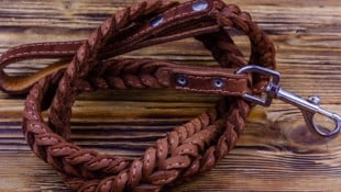 Hund riss sich von der Leine los und attackierte Frau.