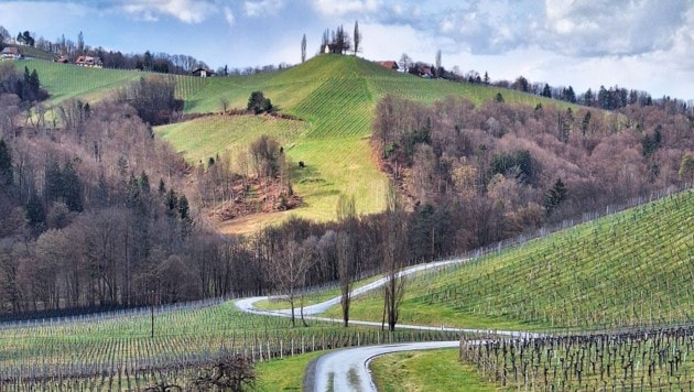 Die Steirische Toskana ist immer einen Ausflug wert – nach den ruhigeren Wintermonaten lohnt er sich aber ganz besonders. (Bild: Weges)