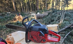 Zwei Motorsägen stahlen die Diebe – Symbolbild
