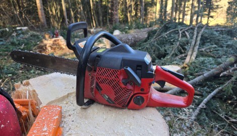 Ein 58-jähriger Salzburger kam bei Forstarbeiten ums Leben. (Symbolbild)