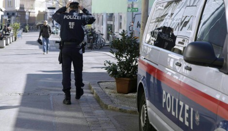 Am Körper des toten Hundes entdeckten Ermittler mehrere verstörende Stichwunden (Symbolbild). (Bild: APA/ALEX HALADA)