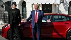 Von links: Tech-Milliardär Elon Musk und US-Präsident Donald Trump (Bild: AFP/MANDEL NGAN)