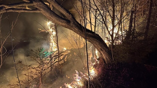 Das Feuer hatte sich in rasender Geschwindigkeit ausgebreitet. (Bild: Feuerwehr Hohenems)