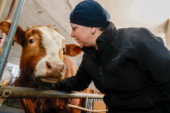 Die Familie hält nebenerwerblich einige Kühe am Bauernhof