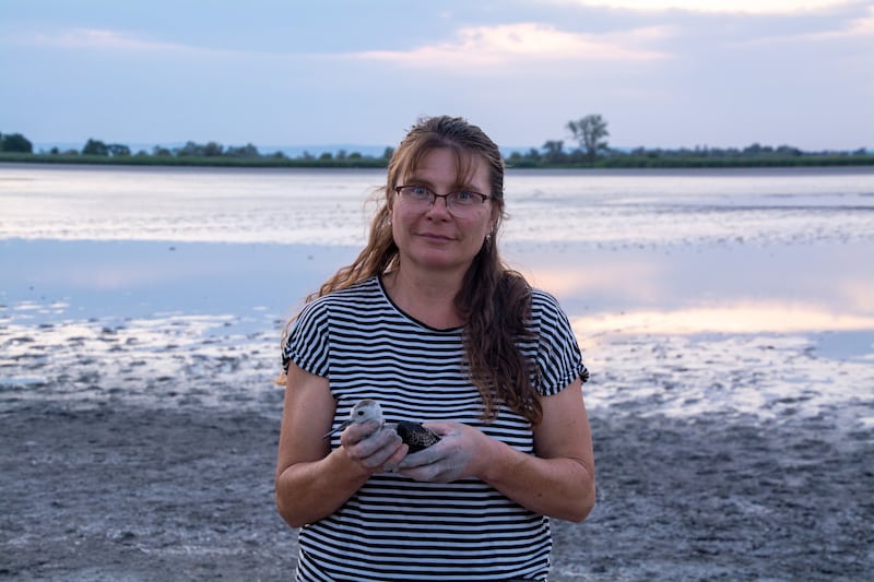 Claudia Herka kennt sich auch bei Wasservögeln aus. Für Gartenbesitzer hat sie Tipps parat, wie man Igel unterstützen kann. (Bild: Charlotte Titz)