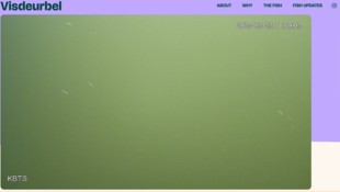 Aktuell wartet kein Fisch auf Einlass.