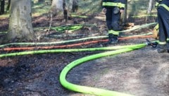 Die Waldbrandgefahr in Vorarlberg ist derzeit ausgesprochen groß. (Bild: P. Huber)