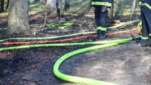 Die Waldbrandgefahr in Vorarlberg ist derzeit ausgesprochen groß.
