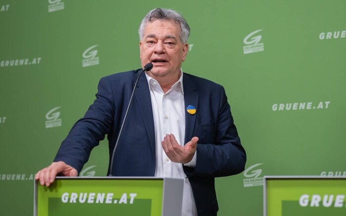 Der scheidende Grünen-Chef Werner Kogler