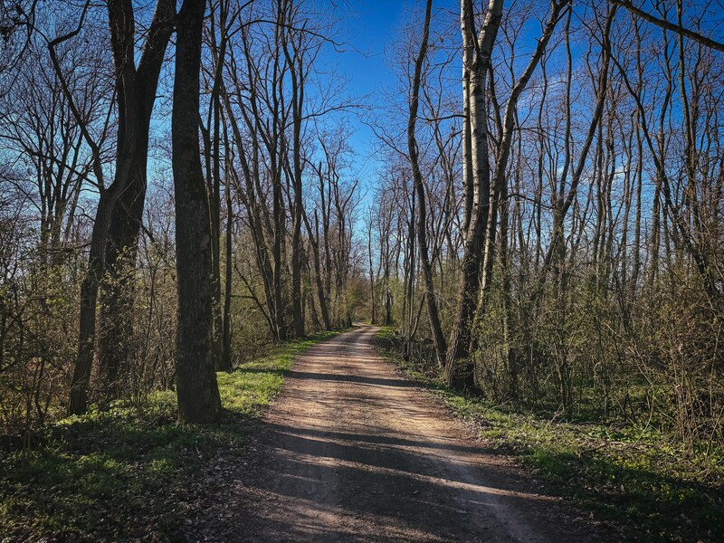 Der Mur-Radweg in der Südoststeiermark ist perfekt für flotte Gravelbike-Touren.  (Bild: Wallner Hannes)