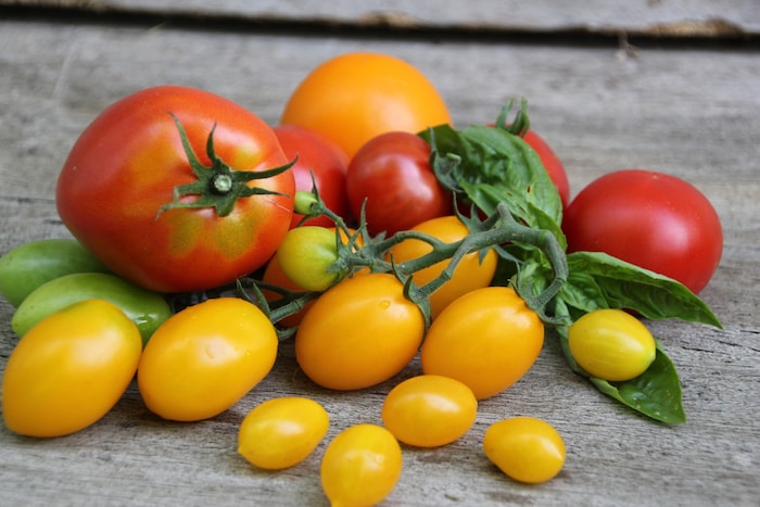 Das Gewächshaus soll ganzjährig Obst und Gemüse liefern.