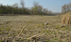 Das Naturparadies ist wieder einmal massiv von Austrocknung bedroht