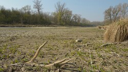 Das Naturparadies ist wieder einmal massiv von Austrocknung bedroht (Bild: zur Verfügung gestellt)