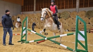 Im ABZ Lambach stehen verschiedenste Reitsport-Disziplinen auch am Stundenplan. (Bild: Hörmandinger Marion)