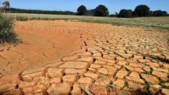 Dürreperioden und extreme Niederschläge nehmen seit Jahren in vielen Teilen der Welt (im Bild: ein ausgetrocknetes Feld im Nordwesten Frankreichs im Jahr 2018) zu. (Bild: AFP/JEAN-FRANCOIS MONIER)