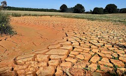 Dürreperioden und extreme Niederschläge nehmen seit Jahren in vielen Teilen der Welt (im Bild: ...