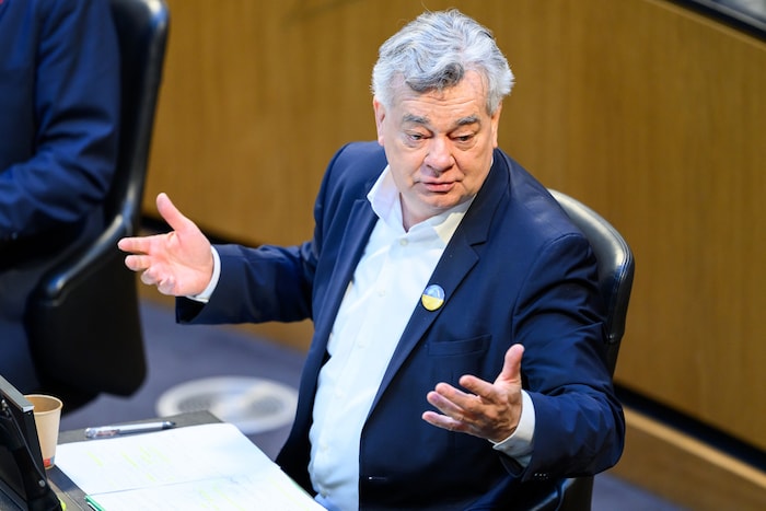 Klubobmann Werner Kogler (Grüne)