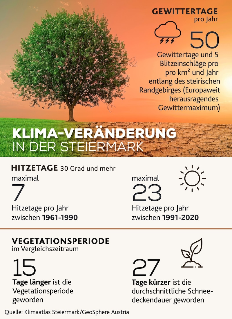 (Bild: Krone KREATIV/stock.adobe.com)