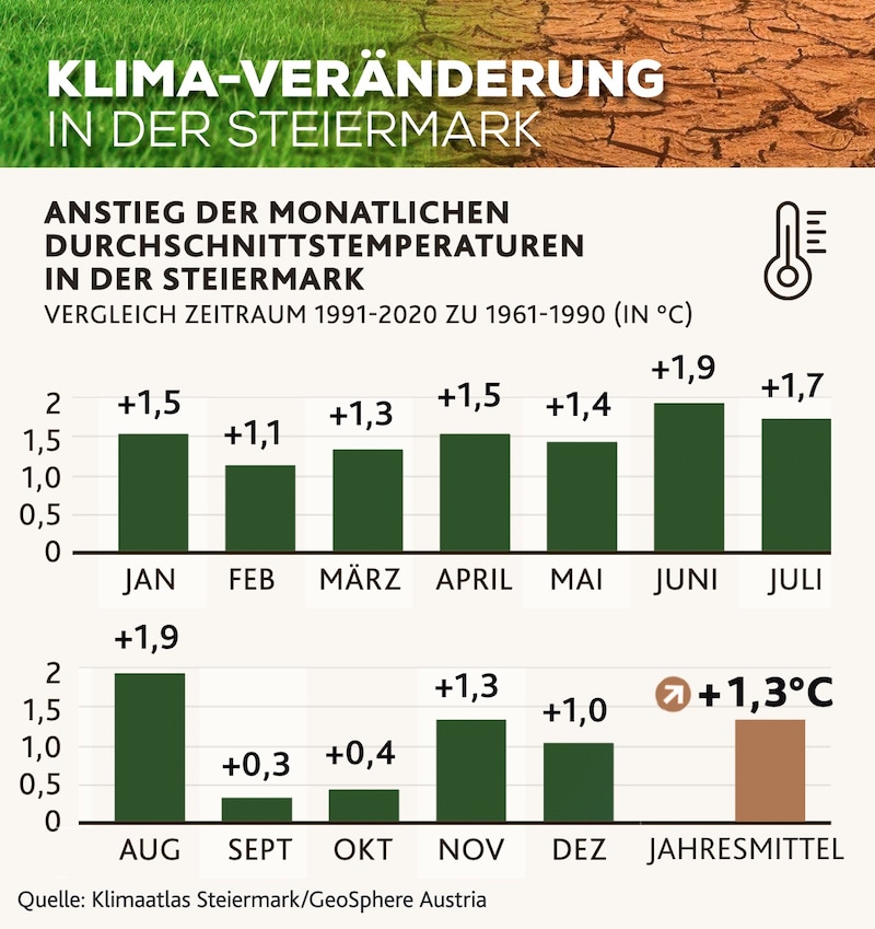 (Bild: Krone KREATIV/stock.adobe.com)