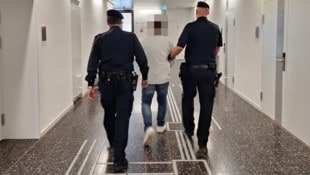 Welcher der Herren ist wohl der falsche Polizist? (Bild: HS, Krone KREATIV)