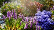 Zum Frühlingsbeginn öffnet „Die Garten Tulln“ wieder ihre Tore – mit neuen Mustergärten und ...