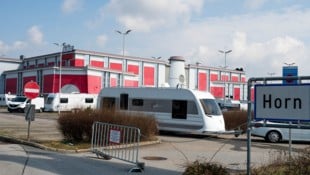 Nach Oberösterreich jetzt auch in Niederösterreich: Die Ex-Kika-Filiale in Horn wurde kurzfristig von Campern – 37 Franzosen – belagert (Bild: Molnar Attila)