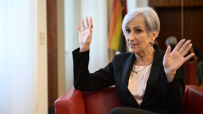 Die neue Justizministerin Anna Sporrer (SPÖ) hat Gesetzesvorschlag in Aussicht gestellt.