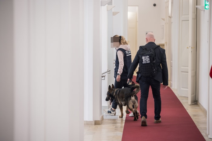 Sprengstoffspürhunde im Linzer Landhaus. 