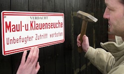 Die Maul- und Klauenseuche breitet sich rund um Österreich rasant aus. 
