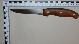 Die Jugendliche konnte sich nach der Attacke noch auf die Straße retten. Der Freund wurde von ...