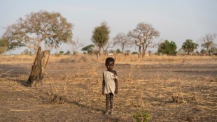 UNICEF ruft Regierungen dazu auf, mehr Geld für Ernährungsprogramme bereitzustellen. 