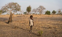 UNICEF ruft Regierungen dazu auf, mehr Geld für Ernährungsprogramme bereitzustellen. 