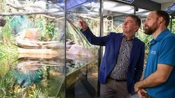 Sie freuen sich auf den neuen Reptilienzoo – Direktor Robert Lindner und Reptilienzoo-Leiter Rupert Eckkrammer.  (Bild: Tröster Andreas)