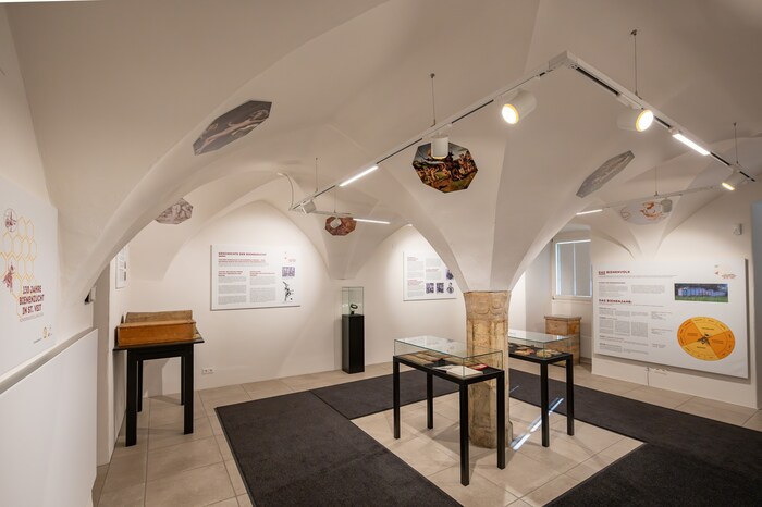 Am 2. April öffnet das Museum in St. Veit seine Tore. 