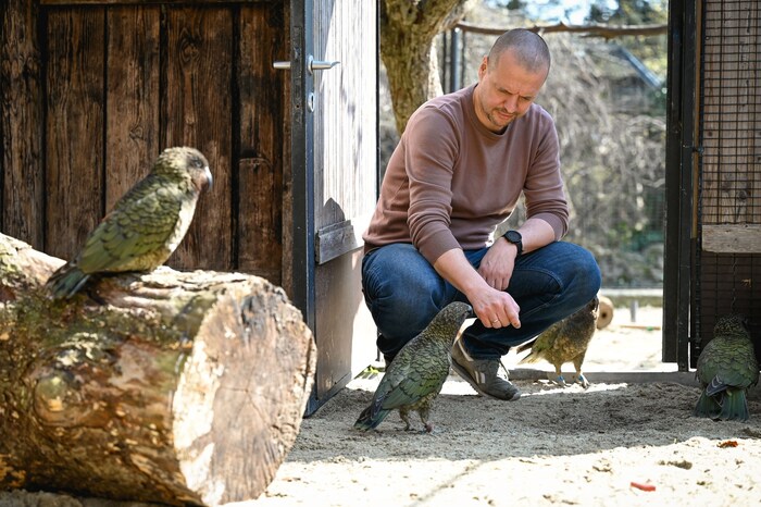 Die Vögel gingen im Gehege sofort auf den für den Tiergarten zuständigen Stadtrat Thomas ...