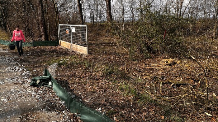 Der Krötenzaun wurde für die Bauarbeiten geöffnet, die Tiere können damit wieder ungeschützt ...