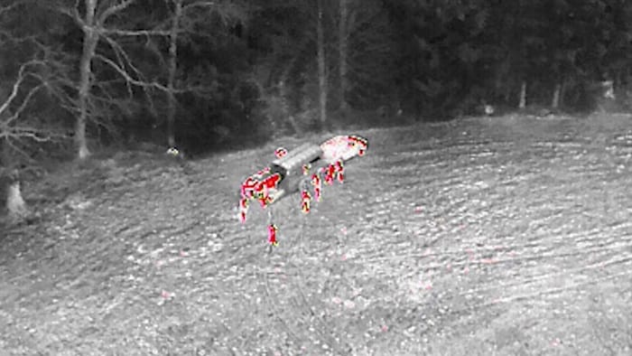 Die Drohne hielt die Aktion mit der Wärmebildkamera fest.