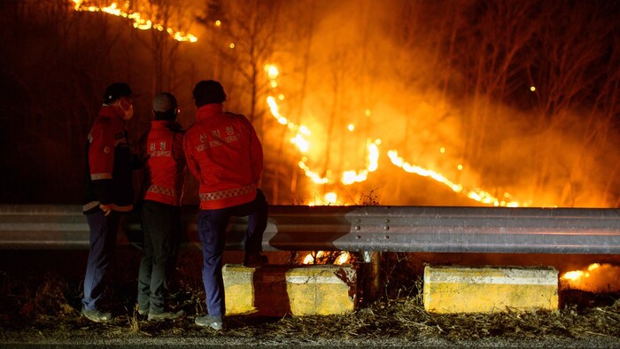 Einsatzkräfte vor der Feuerwalze