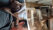 „Pauli“ jetzt (l.) und der Keller, in dem 44 Hunde gehalten wurden.