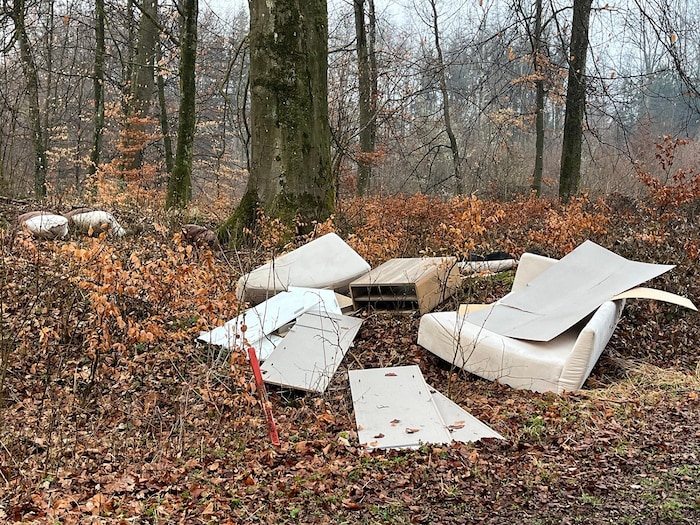 Mehrere Möbelstücke landeten am Schiltenberg im Wald.