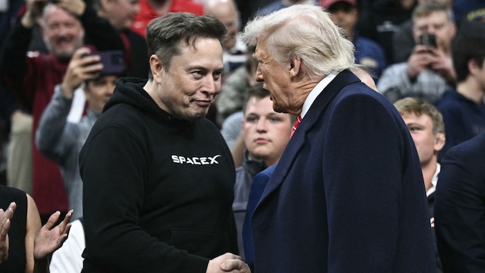Elon Musk tummelt sich seit dem US-Wahlkampf im Herbst im Umfeld von Donald Trump.