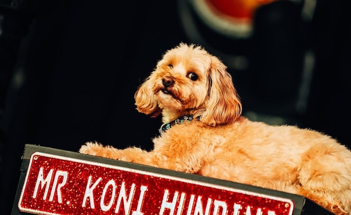 Mr. Koni Hundini