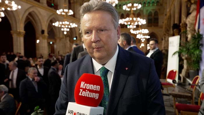 Wiens Bürgermeister Michael Ludwig